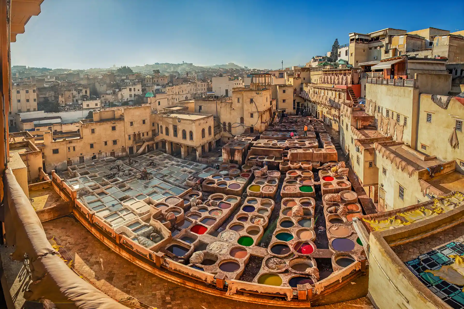 2 week tour of morocco: Fez Tannery